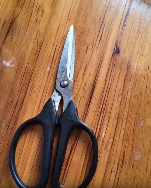 圣保利vs多特蒙德
_太突然!上海98岁阿婆拿起剪刀圣保利vs多特蒙德
,一把剪掉头上的“角”!网友:对自己够狠