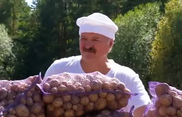 雪兰莪vs丁加奴
_卢卡申科:我要带土豆去中国雪兰莪vs丁加奴
,送给各国领导人