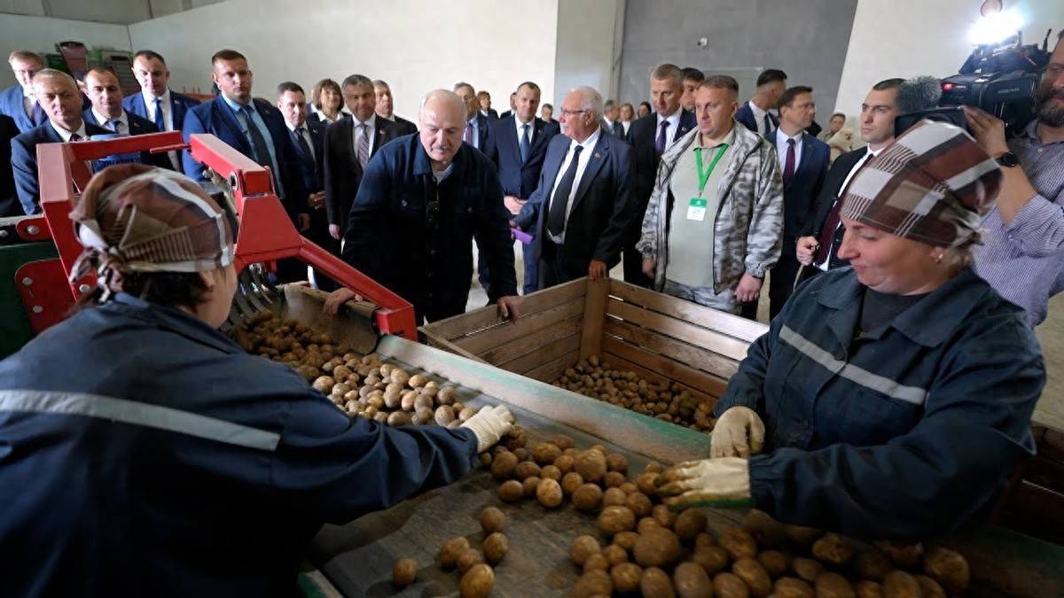北海道札幌冈萨多vs RB大宫松鼠
_白俄总统卢卡申科访华北海道札幌冈萨多vs RB大宫松鼠
,真没把自己当外人,准备带几麻袋土豆当礼物,送给各国领导人!
