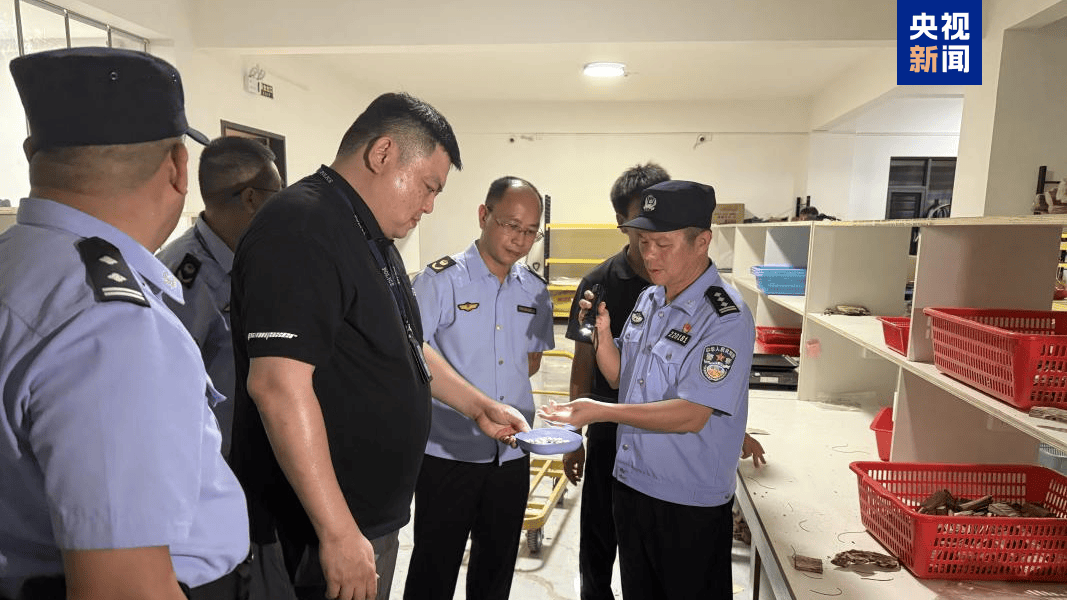 巴西乙组联赛_央视曝光后巴西乙组联赛,广东电白连夜行动,对5家企业立案调查