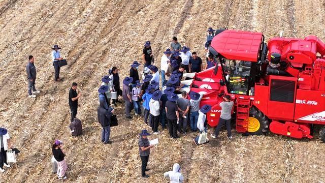 皇冠信用網_全国26家实验室参与皇冠信用網!由雷沃支持的这场“田间论剑”举行