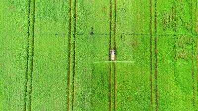 皇冠信用盘会员账号_在新疆皇冠信用盘会员账号,一路风景一路歌