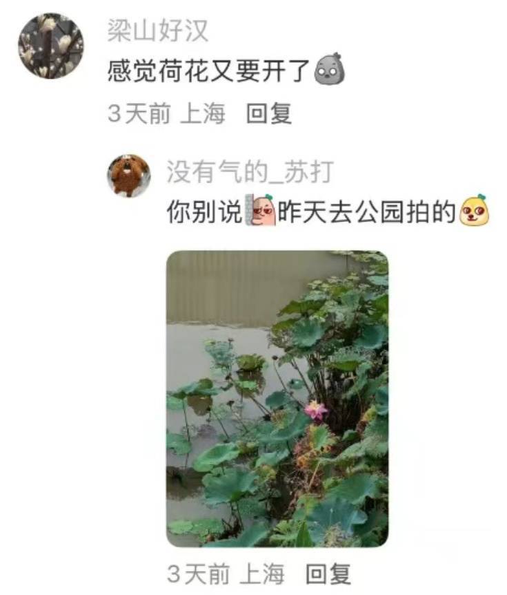 nba赛程表_上海:节后气温将冲高至33℃!今夏已长达150天nba赛程表,玉兰蔷薇樱花荷花全开了……