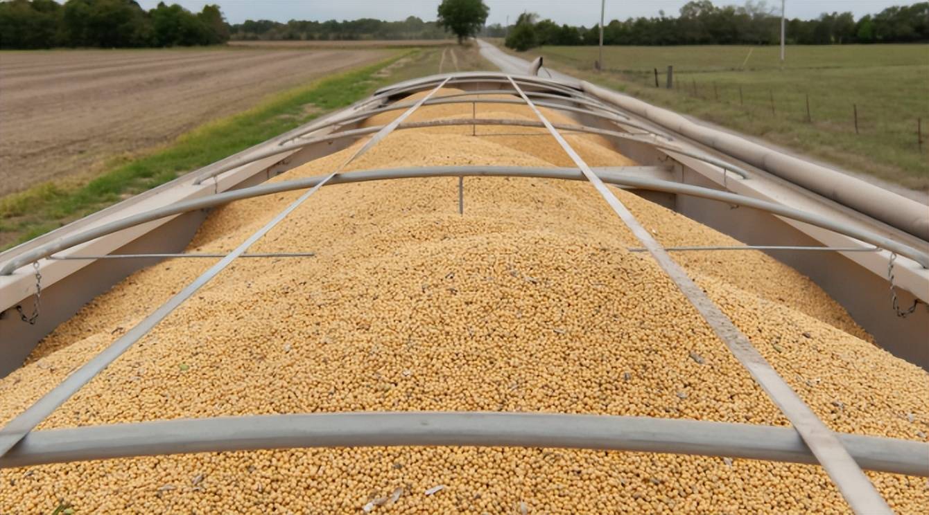 皇冠信用網足球代理
_中美五轮贸易谈判达成共识皇冠信用網足球代理
，中方接连购美大豆小麦显诚意，特朗普借 “无核化” 设局打压中国